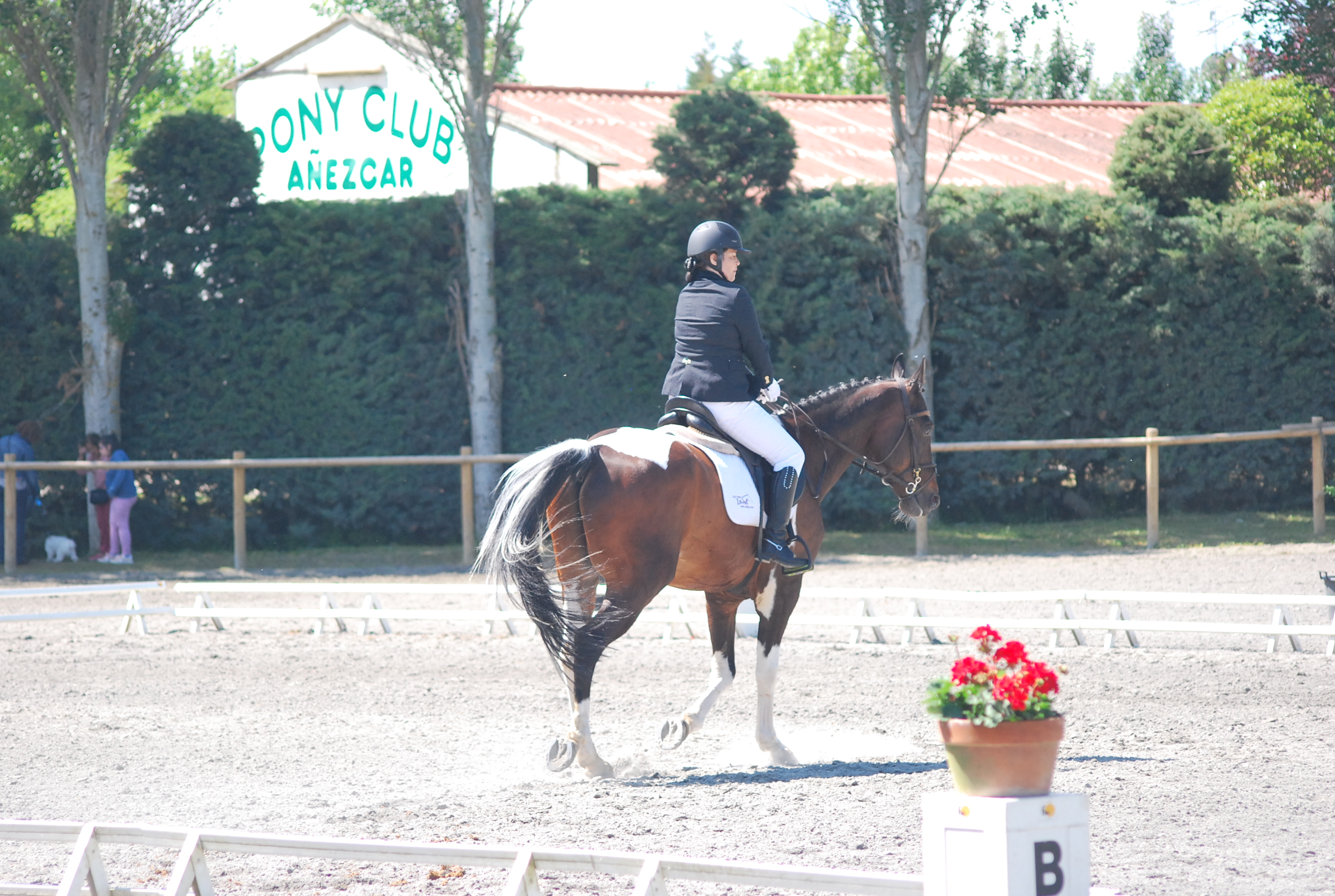Resultados de la Fase Final de Doma Cl&aacute;sica, Doma Adaptada y JJDD 2018